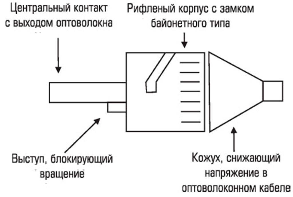 https://biathlonmordovia.ru/uploads/71a89b356b891b97.jpg