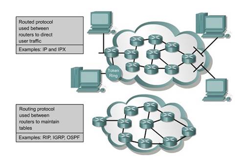 Видове маршрутизация въз основа на протокол за маршрутизиране и маршрутизиране
